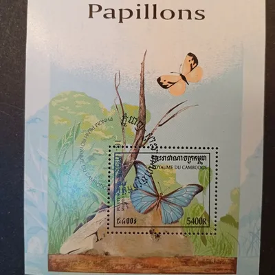 Bloc les papillons 🦋 nickel 